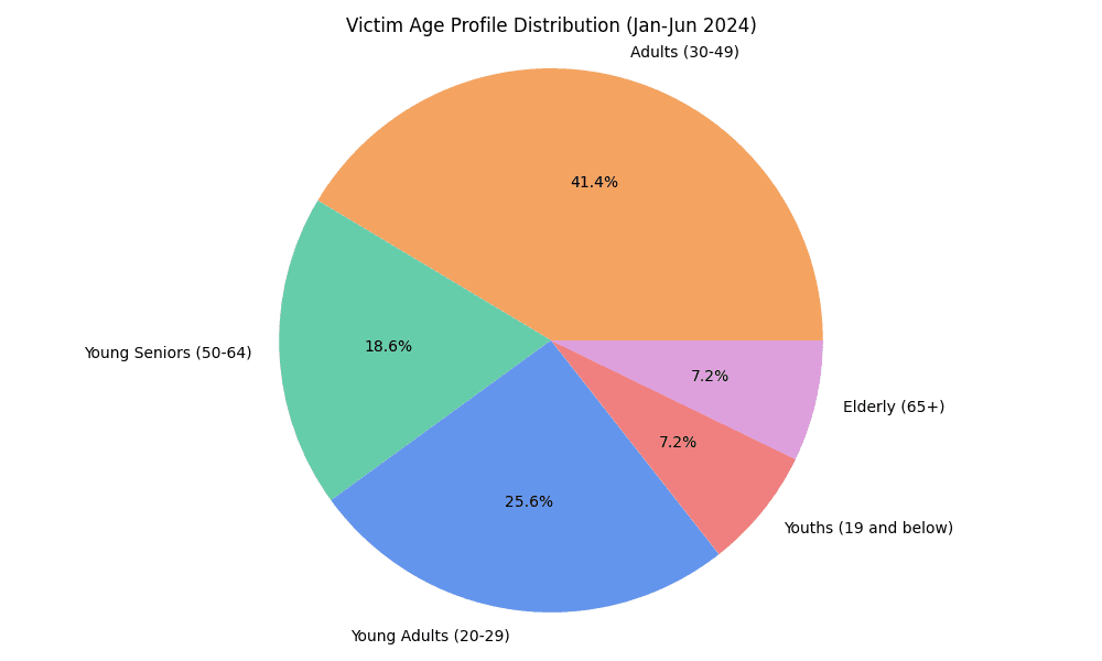 Victim Age Profile Distribution (Jan-Jun 2024)