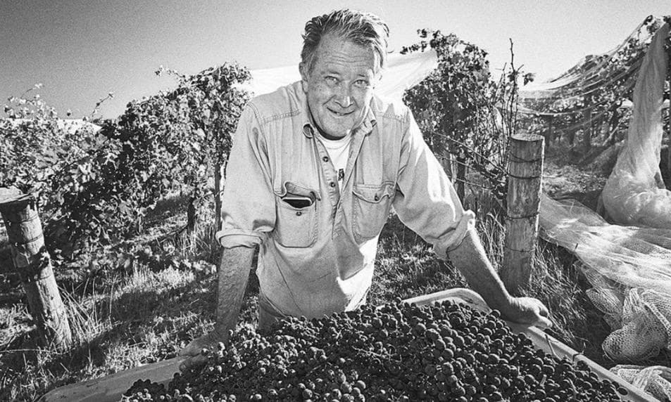 The Wine Distribution Co. Pte. Ltd.: Elevating Singapore’s Premier Craft Beverage Scene